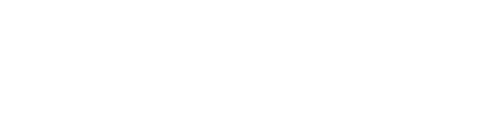 Valerion Logo