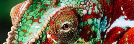 Hoeveel lichtopbrengst heeft jouw beamer nodig?