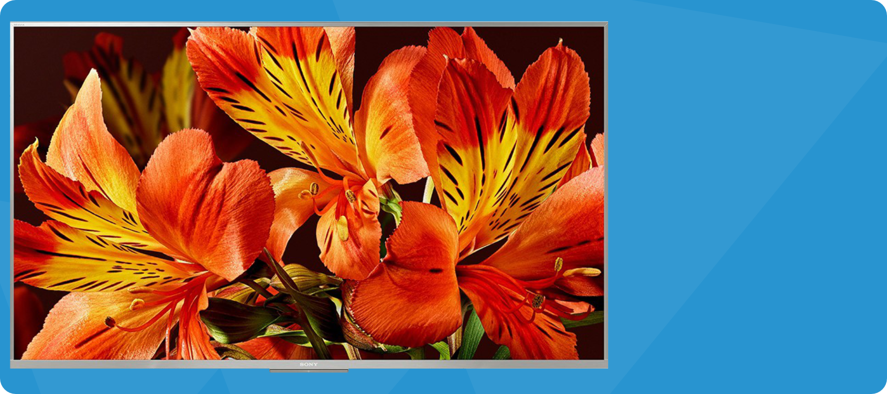 Professionele displays