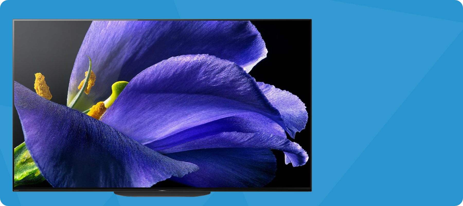 楽天市場】ソニー 50V型 4K 液晶 X90Kシリーズ テレビ ブラビア : ビーンスロー