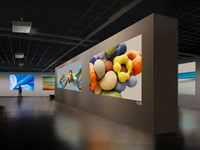 ViewSonic LSC601WU Scenario museum